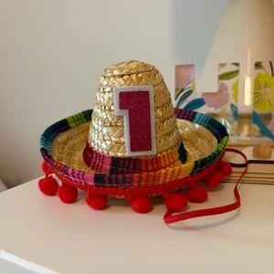 First Birthday Sombrero Party Hat